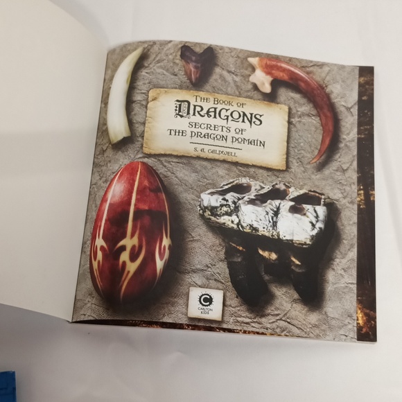 The book of Dragons secrets of the Dragon Domain paper cover book EUC. - Picture 2 of 5